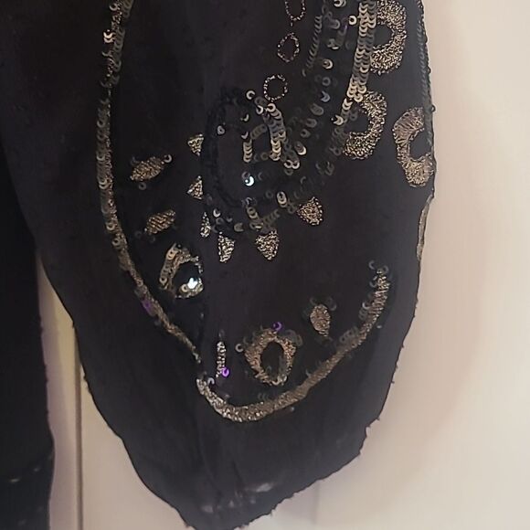 Sundance Catalog Princess Dreams Velvet Tunic Black & Metallic Embroidered Sz S - Picture 6 of 12